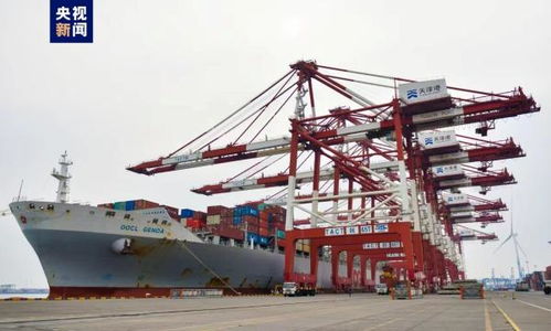 首票雄安自貿試驗區進口海運貨物在天津港順利接卸，推動港口貨物裝卸搬運活動高效發展