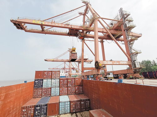 湖北物流運輸吹響全面復蘇號角 港口貨物裝卸搬運活動活力重現