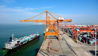 欽州港海關陸海新通道專窗 24小時通關加速，助力港口裝卸搬運高效運轉