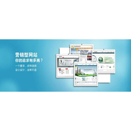 構建卓越在線形象 營銷型網站的設計與開發團隊核心指南